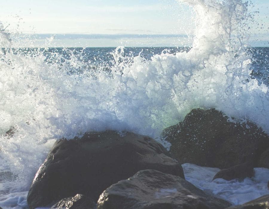 Local agent support - Auto Insurance in Florida